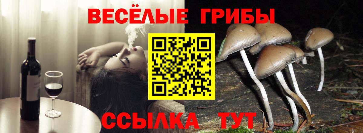 Галлюциногенные грибы GOLDEN TEACHER  Галлюциногенные грибы MAGIC MUSHROOMS  Вход с VPN  Отрадное 